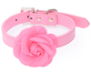 Flower Accessories Supplies Pet Leash