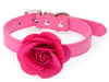 Flower Accessories Supplies Pet Leash